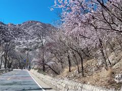 -龙泉峪长城