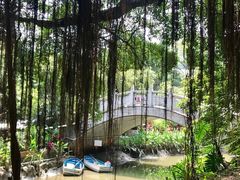 -小洲村