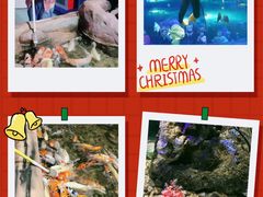 -苏州海洋馆