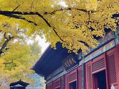 -红螺寺