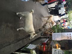 iphone_upload_pic-南丫岛
