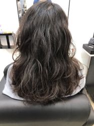 -蚂蚁造型俱乐部
