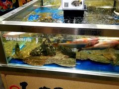 -资和信百货商场