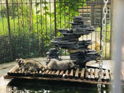 -萌宠亲子动物乐园(槐房万达店)