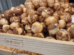 -酥翁糕点(顺义店)