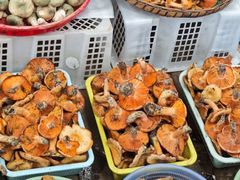 -云南木水花野生菌交易中心