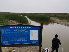 -春花秋色城市公园