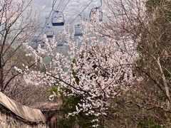 -香山公园