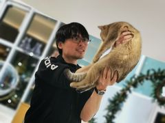 -飞行喵MR PILOT|猫舍·猫咖(静安大融城店)