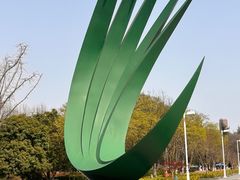 -白塘生态植物园