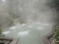 -洪霞餐馆