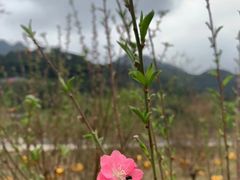 -南丹山森林王国