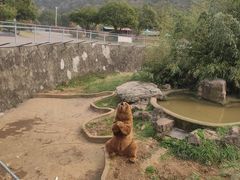 -无锡动物园·太湖欢乐园
