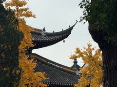 -西园寺素食(西园弄戒幢律寺店)