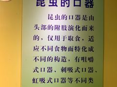 -上海昆虫博物馆