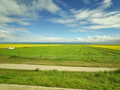 -青海湖国家重点风景名胜区