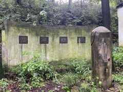 -午潮山国家森林公园