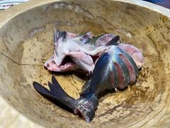 -云中鱼蒸汽石锅鱼(浦东食品城店)