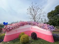 -荷兰花海