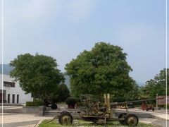 -轻武器博物馆