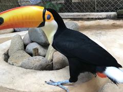 -三亚千古情景区游客中心-接待中心