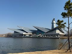 -盐城丹顶鹤湿地生态旅游区