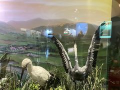 -陕西自然博物馆