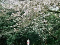 -杭州少年儿童公园