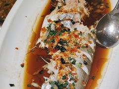 -洞庭渔人(沙湾店)