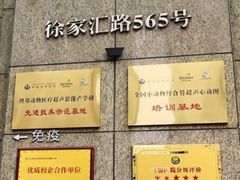 -申普宠物医院·心脏介入·心血管微创(总院)