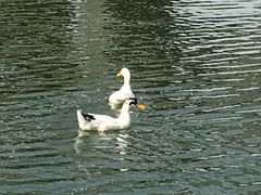 -西安汉城湖景区