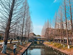 -峙山公园