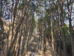 -火炉山森林公园