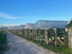 -美家乐农庄·露营·团建(大治路店)