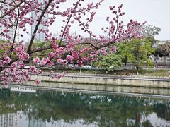 -望江楼公园