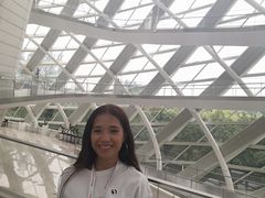 -凤凰中心