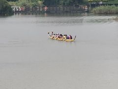 -芒洲湿地公园