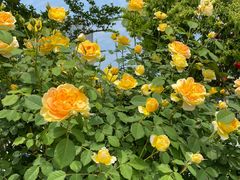 -许府牛火锅(信义坊总店)