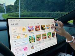 -铁山坪森林公园