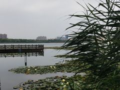 -暨阳湖生态园