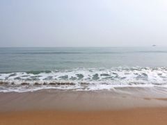-渡海小渔村.老辈日照菜