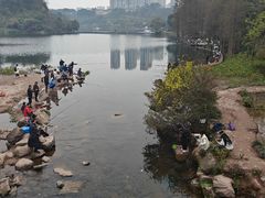 -重庆彩云湖湿地公园