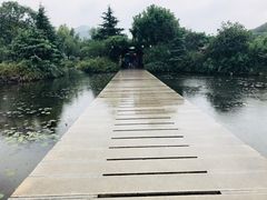-白马涧龙池景区