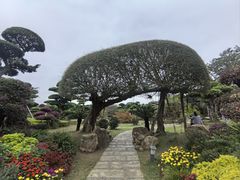 -南宁南湖公园