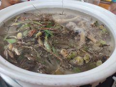 石橄榄汤底-潮陈记土鸡火锅(东厦北路店)