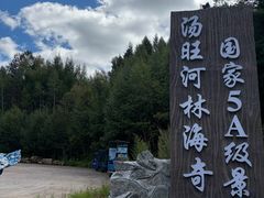 -汤旺河林海奇石景区