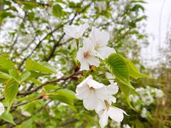 -古宇湖风景名胜区