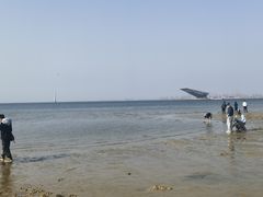 -春华海鲜城(广场西苑店)