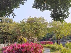 -晓港公园