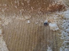 -上海哈尔滨食品厂(浦商百货昌里店)